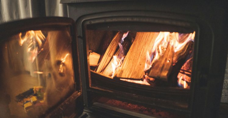 Fergi is Searching for a Wood Stove